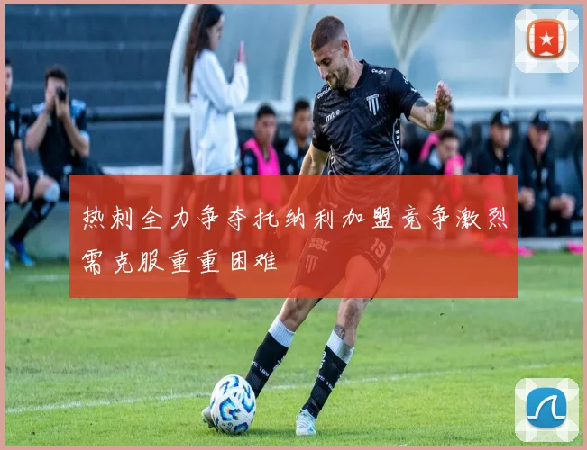 热刺全力争夺托纳利加盟竞争激烈需克服重重困难