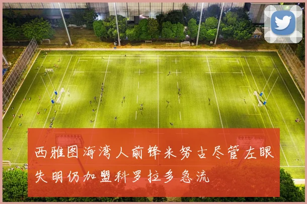 西雅图海湾人前锋米努古尽管左眼失明仍加盟科罗拉多急流