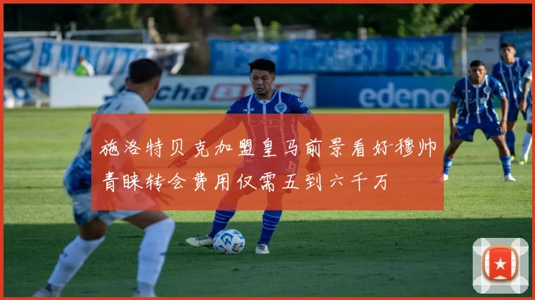 施洛特贝克加盟皇马前景看好穆帅青睐转会费用仅需五到六千万